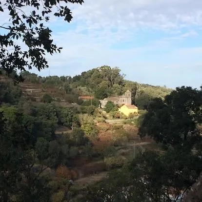Idyllic مونشيك